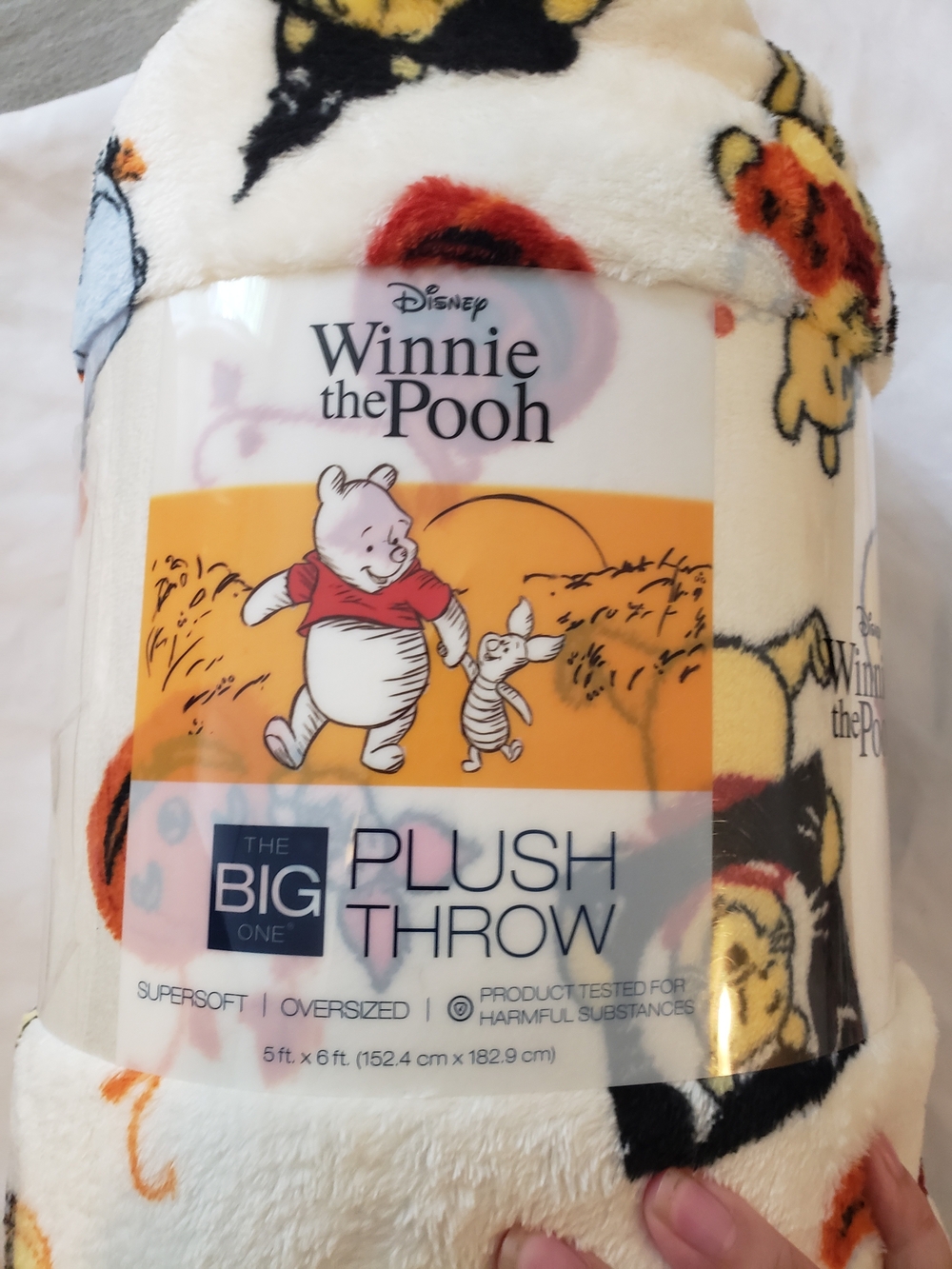 Disney Winnie the Pooh Fall /Halloween Plush Throw in Cream, Yellow, Red, Black